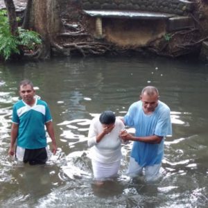 Miembros bautizados