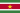 Surinam 1